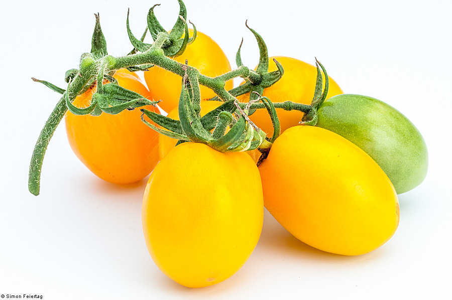 Lycopersicum esculentum